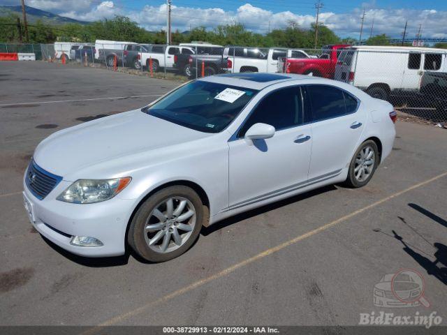 Розбірка LEXUS LS 460/460L седан (USF4) (2006 - 2026)