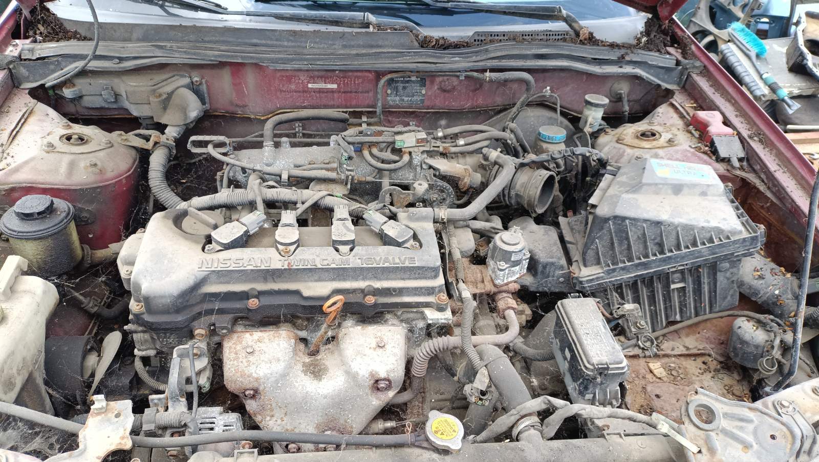 Авторазборка NISSAN ALMERA II хэтчбек (N16) (03.00 - 06) (2000 - 2006)