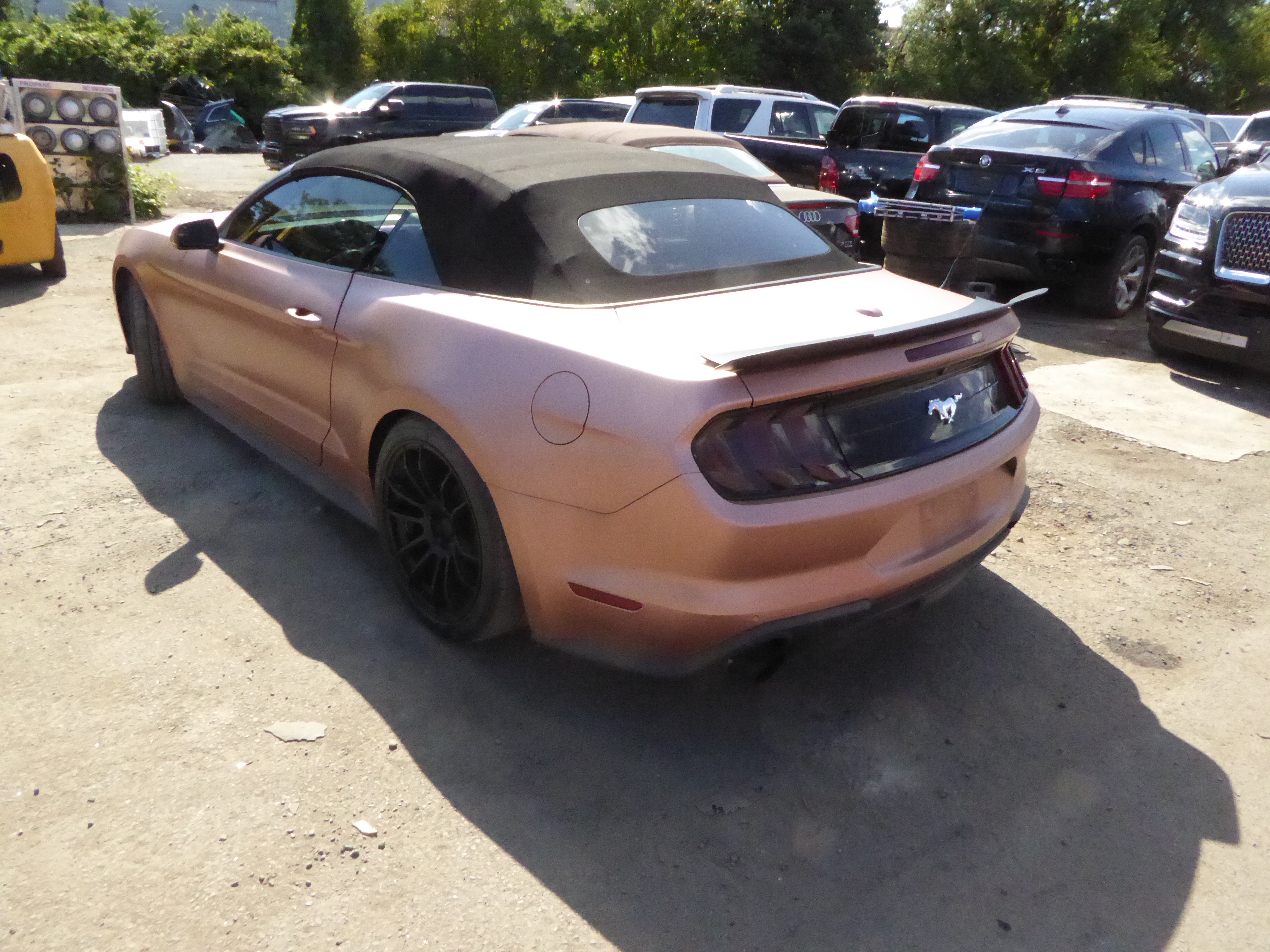 Авторазборка FORD MUSTANG VI кабриолет (ZG) (2014 - 2023)