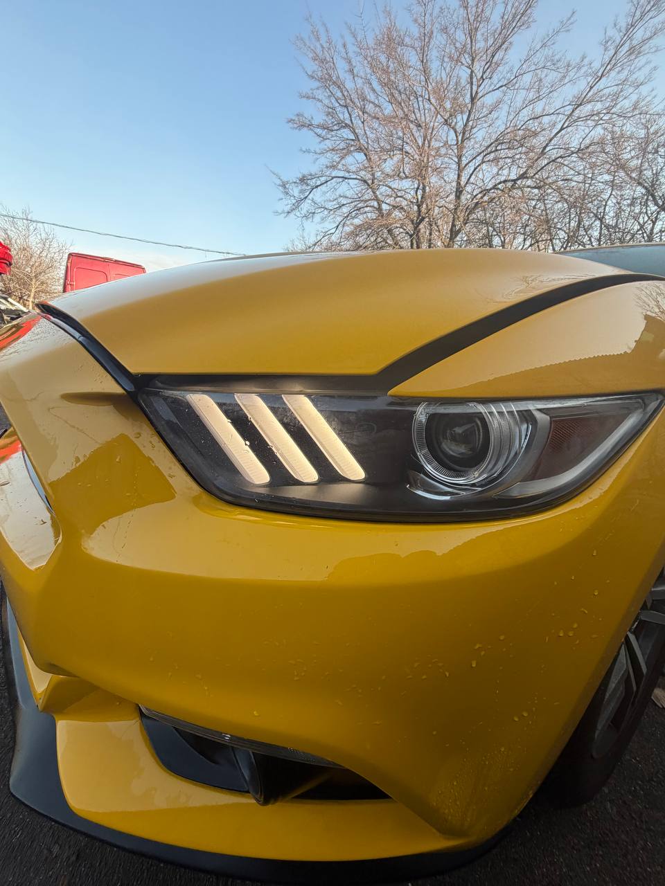Авторазборка FORD MUSTANG VI купе (ZG) (2014 - 2023)