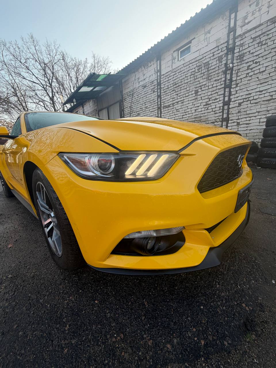 Авторазборка FORD MUSTANG VI купе (ZG) (2014 - 2023)