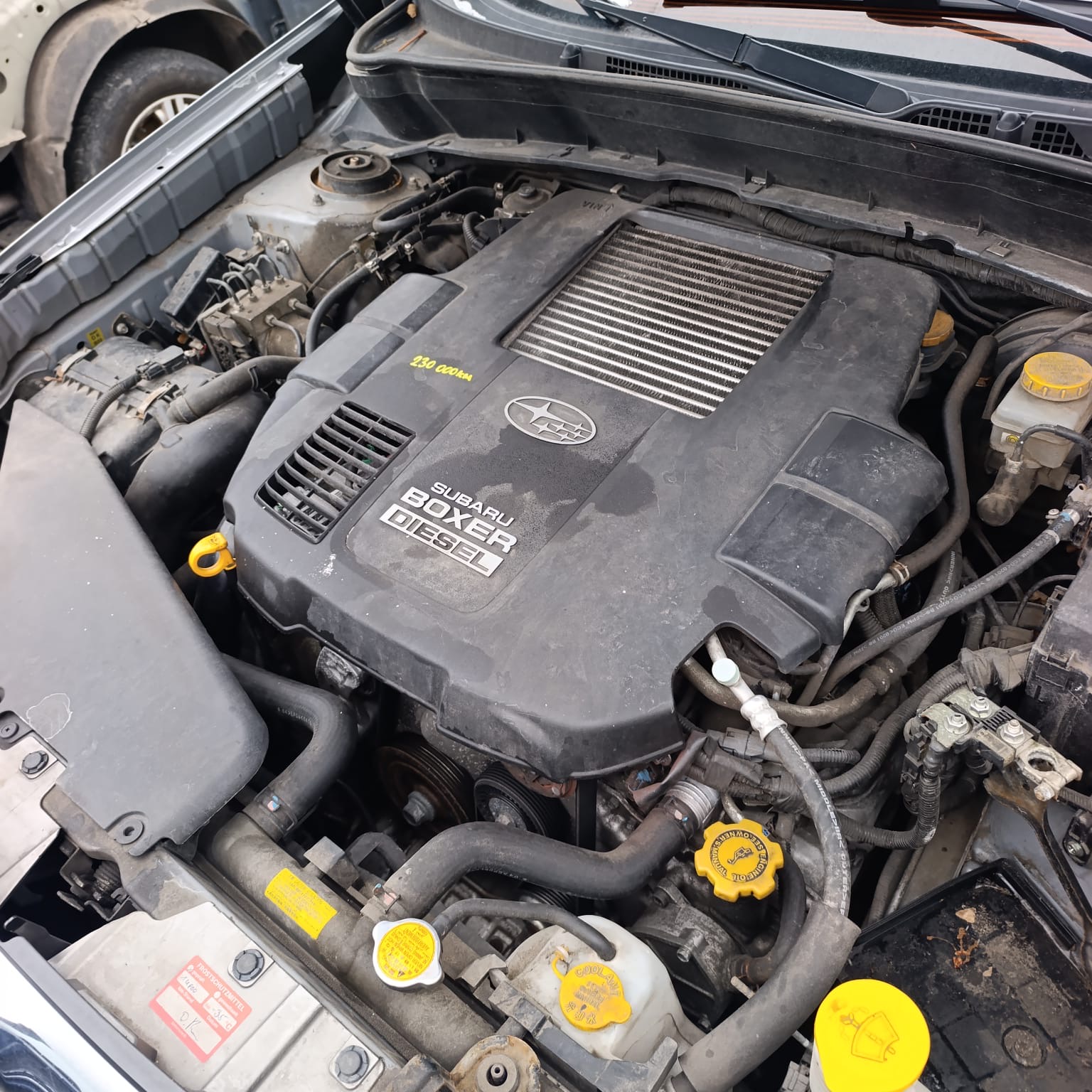 Авторозборка SUBARU FORESTER позашляховик (S12, SH) (2007 - 2012)